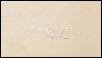 Mattyasovszky-Zsolnay László (1885-1935): Könyöklő női akt. Ceruza, papír. Hagyatéki pecséttel. 34x2...