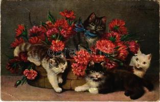 1916 Cats. T.S.N. Serie 877. (6 Dess.) (EB)