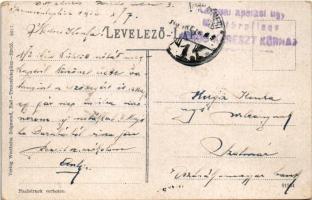 1916 Trencsénteplic, Trencianske Teplice; látkép. Wertheim Zsigmond kiadása / spa, general view + &q...