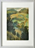 Jelzés nélkül: Hegyvidéki táj. Akvarell, papír, üvegezett fakeretben, 29×19 cm