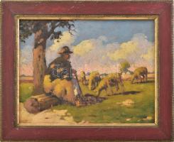 Olvashatatlan jelzéssel (jobbra lent, keret által takarva): Juhász bárányaival. Olaj, karton. Dekoratív fakeretben. 23,5x30 cm