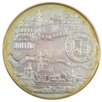 1990. 500Ft Ag "Budai vár" dísztokban T:BU patina Adamo EM114