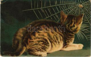 1919 Cica és pók / Cat and spider. Wenau-Postkarte No. 606. litho (fa)