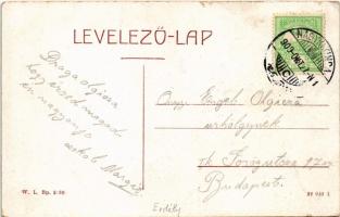 1909 Nagykikinda, Kikinda; Népkert. W.L. Bp. 2130. / park (fa)