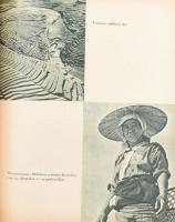 Zágoni Ferenc: Japán élet - Japán emberek. Bp., 1956, Ifjúsági Könyvkiadó, 288 p. A borító Végh Dezs...