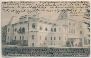 1910 Betlér, Betliar (Rozsnyó, Roznava); Gróf Andrássy kastély északi oldala. Falvi Jenő kiadása / castle (r)