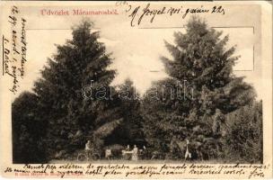 1901 Máramarossziget, Sighetu Marmatiei; park piknikezőkkel és kerékpárossal. Mayer és Berger kiadása / park with picnic and bicycle (vágott / cut)
