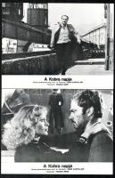 cca 1980 ,,A Kobra napja" című olasz film jelenetei és szereplői, 11 db produkciós filmfotó, ny...