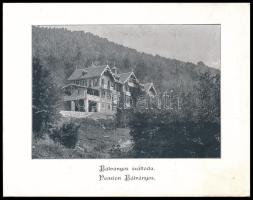 1897 Bálványosfürdő (Băile Bálványos), leporelló album 6 db képpel, aranyozott vászonkötésben, 14x11...