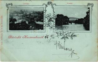 1899 (Vorläufer) Karánsebes, Caransebes; látkép és vashíd. Perlfaster H. és fia kiadása / bridge. Art Nouveau, floral