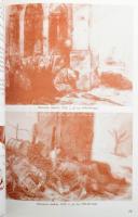 A magyar képzőművészeti főiskola részvétele az 1956-os forradalom és szabadságharcban. Szerk.: Csizm...