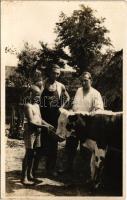 Tehén etetése / Hungarian folklore, feeding the cow. photo