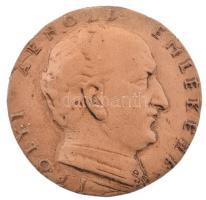 Madarassy Walter (1909-1994) DN "Ipolyi Arnold emlékére" jelzetlen kerámia plakett (68mm) T:1-