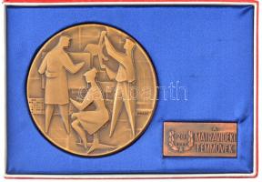 Vincze Dénes (1914-1972) 1972. 20 éves a Mátravidéki Fémművek bronz emlékérem kiegészítő táblával eredeti tokban (80mm) T:1-