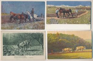 4 db RÉGI folklór motívum képeslap: szántás / 4 pre-1945 folklore motive postcards: ploughing (plowing)