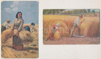 4 db RÉGI folklór motívum képeslap: aratás / 4 pre-1945 folklore motive postcards: harvesting