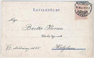 1899 (Vorläufer) Budapest XIV. Városliget, Háziipari kiállítás "Pártoljuk a házi ipart!" (...