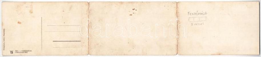 Fenyőháza, Lubochna; látkép, nyaralók. 3-részes kihajtható panorámalap. Holczmann Izidor kiadása / g...