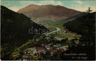 1911 Fenyőháza, Lubochna; látkép és Síp hegy. Holczmann Izidor kiadása / general view, mountain, spa (EK)