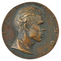 DN Simon János bronz emlékérem (160mm) T:1- patina