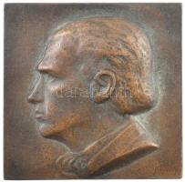 Karácsonyi Géza (1880-1962) ~1920. Önarckép egyoldalas bronz plakett (95x95mm) T:1-