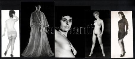 Az 1970-es évek bevállalós modelljei, szolidan erotikus felvételek, 5 db vintage fotó, ezüst zselatinos fotópapíron,18x10,7 cm és 15,2x 5,6 cm között