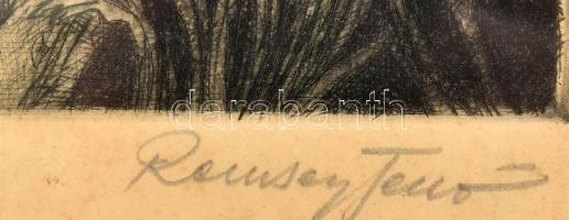 Remsey Jenő (1885-1970): Mocsaras táj. Rézkarc, papír. Jelzett. Kissé foltos.19,5x29,5 cm. Dekoratív...