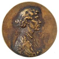 DN Férfi portré bronz egyoldalas emlékérem (95mm) T:1-
