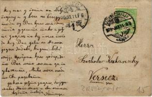 1909 Nagybecskerek, Zrenjanin, Veliki Beckerek; Tyoszity K. üzlete a fekete kakashoz / shop. photo (...