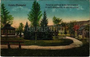 Marosújvár, Uioara, Ocna Mures; Parcul cu pavilonul de muzica si beraria / Új park, zenepavilon és sörcsarnok / park, music pavilion and beer hall (kis szakadás / small tear)