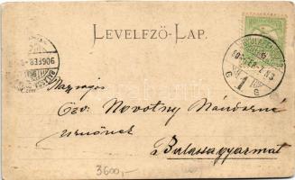 1906 Zalatna, Zlatna; photo (vágott / cut)