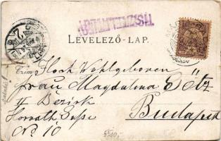 1901 Lippa, Lipova; látkép, Maros híd / general view, Mures riverside (r)