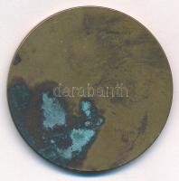 Zsákodi Csiszér János (1883-1953) 1928. "Magyar Anyák Nemzeti Ünnepe" egyoldalas bronz eml...