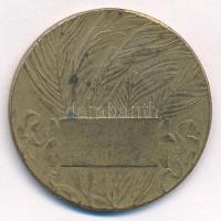 1912. "Pénzintézeti Sportegyletek Szövetsége" bronz egyoldalas emlékérem (35mm) T:2