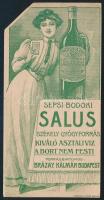 cca 1900 Sepsi-Bodoki Salus székely gyógyforrás Brázay Kálmán két oldalas számolócédula