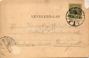 1902 Kolozsvár, Cluj; Mátyás király szülőháza. Kováts P. Fiai 61. sz. / birthplace of Mathias Corvin...