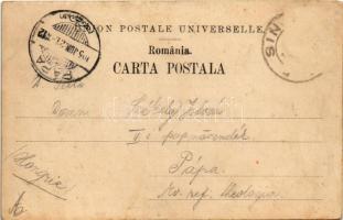 1903 Busteni, Cascada Urlatoarea / waterfall (r)