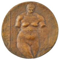 DN Női torzó bronz egyoldalas emlékérem (120mm) T:1-