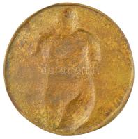 DN "Női torzó" bronz egyoldalas emlékérem (120mm) T:1-