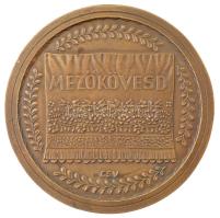 Csúcs Viktória (1934-1993) DN Mezőkövesd egyoldalas bronz emlékérem, hátoldalán akasztóval (150mm) T:1-