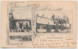 1902 Buziásfürdő, Baile Buzias; Josefs-Quell, Bazar / József-forrás, Bazár / spa, spring source, bazaar. Art Nouveau, floral (kopott sarkak / worn corners)