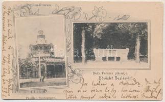 1902 Buziásfürdő, Baile Buzias; Pavilon étterem, Deák Ferenc pihenője / Pavillon-Restaurant / restaurant, park, spa. Art Nouveau, floral (kopott sarkak / worn corners)