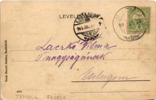 1905 Buziásfürdő, Baile Buzias; Park. Nosek Gusztáv kiadása / park, spa (EK)