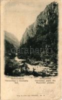 1899 (Vorläufer) Herkulesfürdő, Baile Herculane; Cserna-völgy a vízzuhatag felé. Alfred Jäger kiadása / Csernatal gegen den Wasserfall gesehen / valley, waterfall (EB)