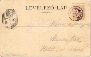 1899 (Vorläufer) Herkulesfürdő, Baile Herculane; Cserna-völgy a vízzuhatag felé. Alfred Jäger kiadás...