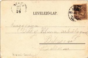 1901 Lugos, Lugoj; Főgimnázium és színház. Weisz és Sziklai kiadása / grammar school, theatre (szaka...