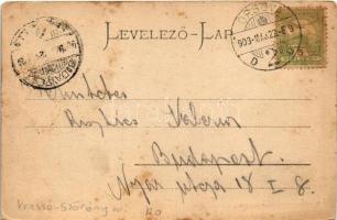 1903 Orsova, látkép. Kick Nándor kiadása / general view (EK)