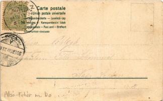 1905 Vízakna, Salzburg, Ocna Sibiului; Sós gyógyfürdő. Takáts Jenő kiadása. Szecessziós litho keret ...