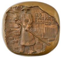 Asszonyi Tamás (1942-) 1970. 125 éves az ózdi gyár bronz plakett, hátoldalán felszerelő ponttal (130x122mm) T:1-