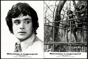 cca 1971 ,,Búcsúzz a tengerparttól - pofonnal kezdődött" című angol film jelenetei és szereplői...